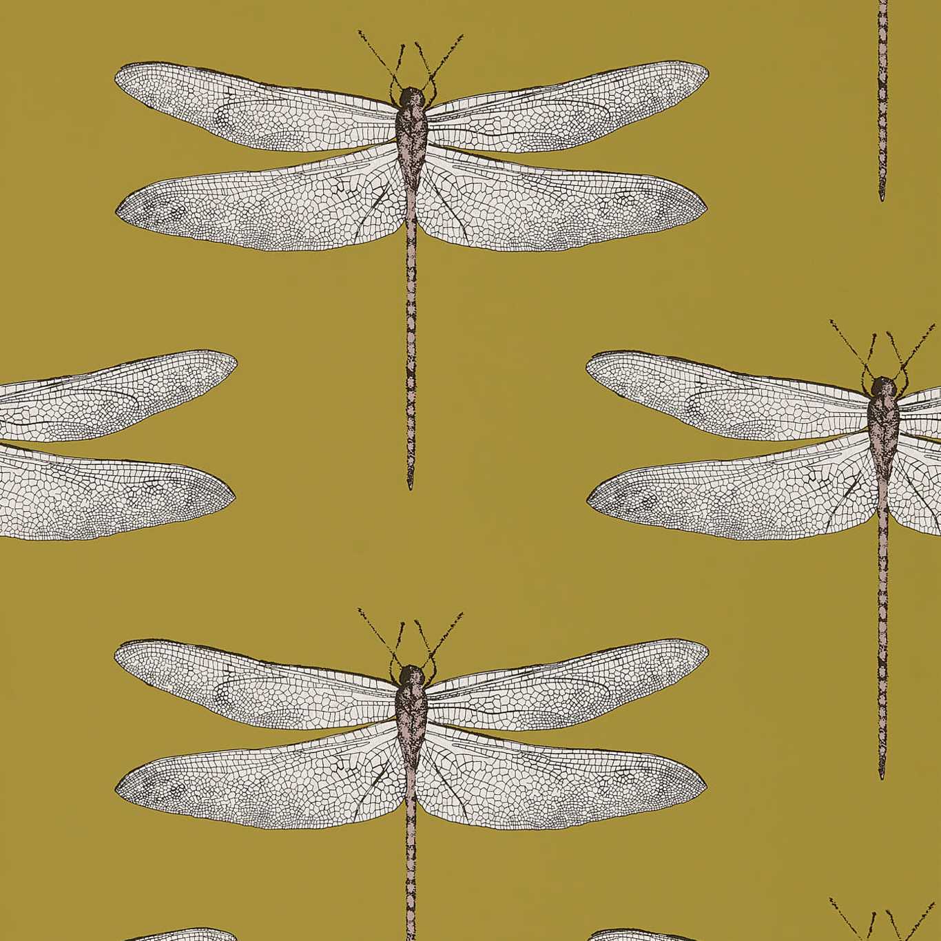 Demoiselle 111244
